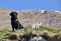 18 Zambla alta - Cima Grem - sentiero 223